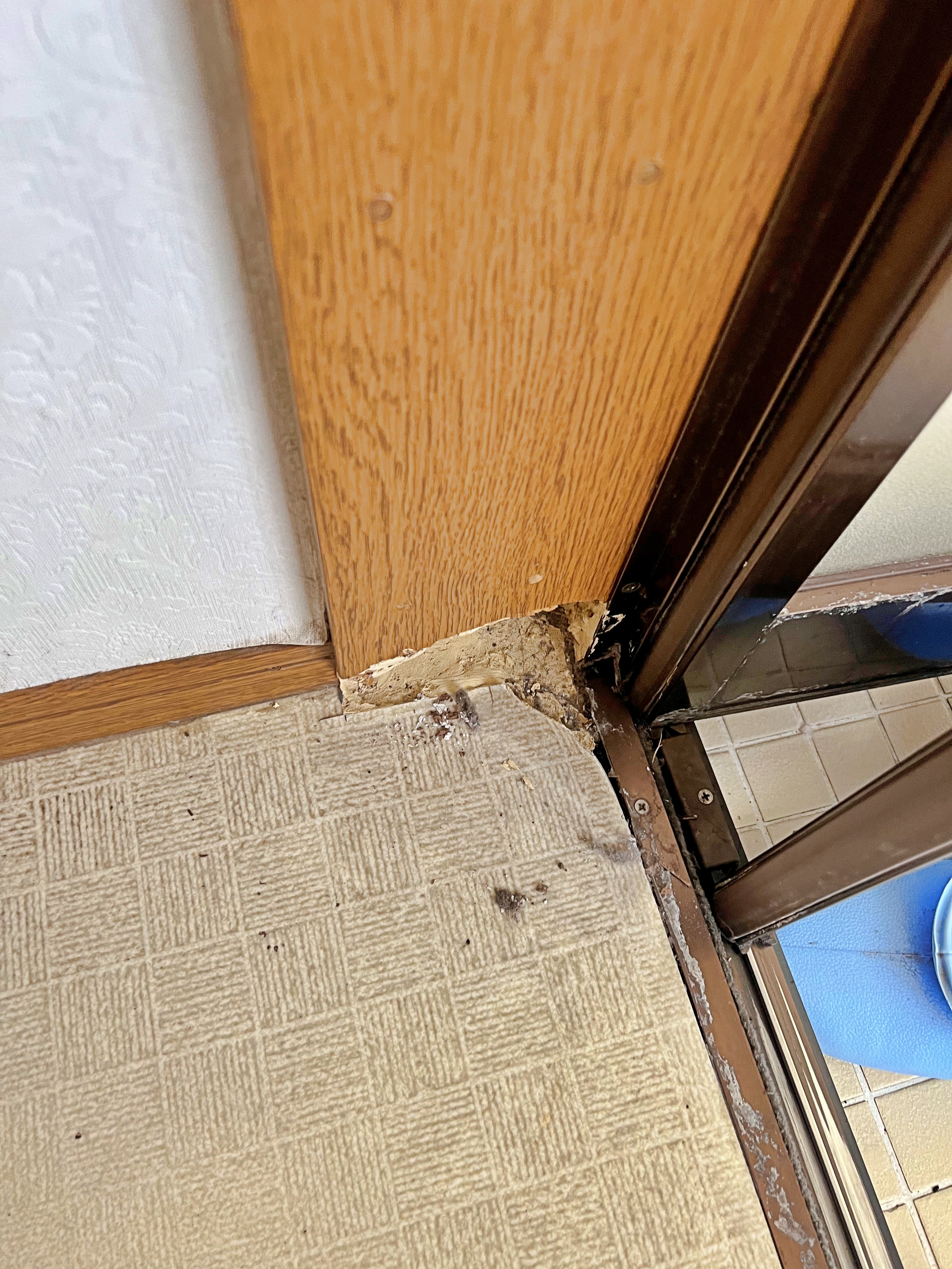 脱衣場の内装リフォームを行いました。